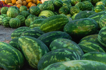 Market with ripe green watermelons in the south of Ukraine on a blurred background.