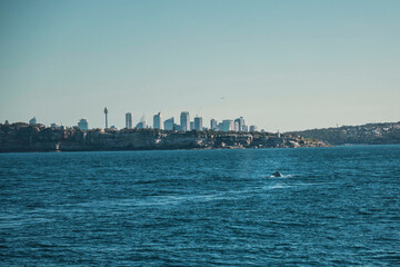 Fototapeta premium Ville de Sydney