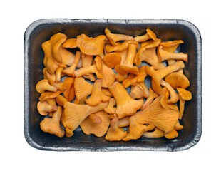 Chanterelles or girolles mushroom in black plate