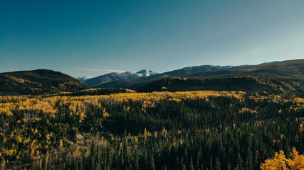 aerial view of Denali national park