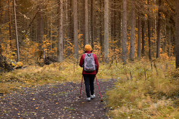 Fototapeta premium Nordic walking. A woman is engaged in Nordic walking in the park.