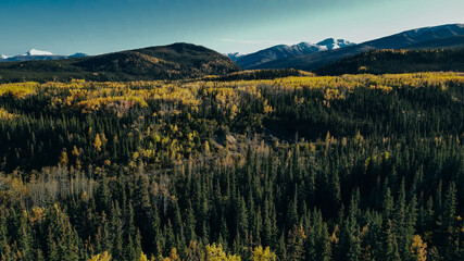 aerial view of Denali national park