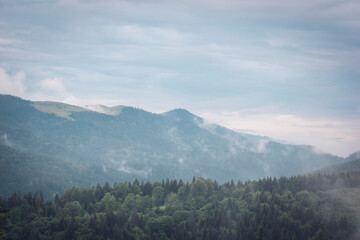 Obraz premium Mountains after the rain. Water evaporates from the forest