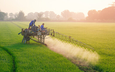 Fototapeta premium Two Asian farmers on sprayer tractor spraying chemical and fertilizer in green paddy field at morning time, technology in agriculture concept