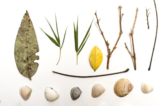 elementos naturaleza