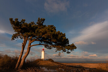 View to the postcard picture lighthouse with pine tree and beautiful lagoon landscape on the Baltic...