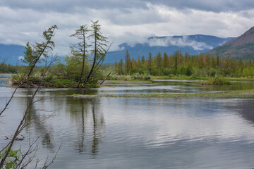 The Muksun River on the Putorana Plateau.