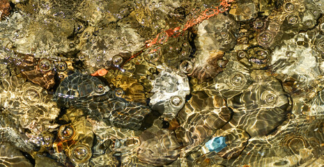 close up of a rock in the water