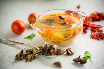 vegetable soup with dried mushrooms, dried tomatoes