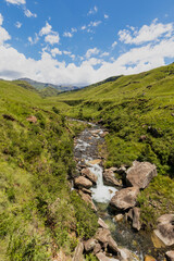 Water fall in green valley