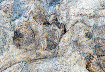 wood wall texture