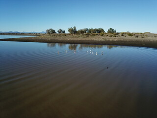 Fototapeta na wymiar lagoon in a flat desert in western Argentina