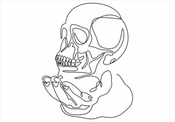 Doctor with skull in hand. Human body model.continuous line drawing