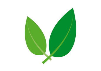 Icono de dos hojas verdes en fondo blanco.