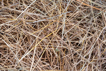 hay bale texture, hay close-up, dried grass