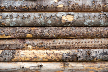 old wood texture, the texture of the wooden wall,  texture of log wall,