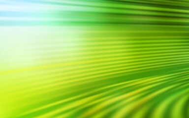 Light Green, Yellow vector modern elegant background.