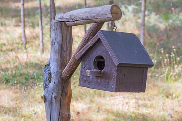 Bird house in the woods