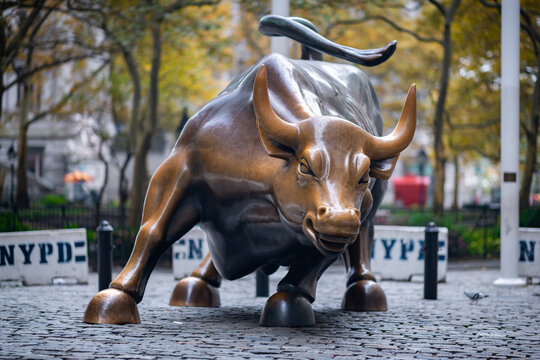 New York City, USA - November 6, 2018: The sculpture of Charging Bull by Arturo Di Modica in the Financial district in New York City, as captured on November 6, 2018.