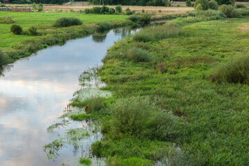Fototapeta na wymiar narew river in summer