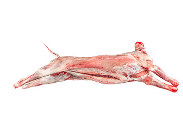 Lamb carcass on cutting table in butcher shop. Sheep carcass. Raw meat. Free space for text....