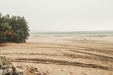 Bledow desert (pustynia bledowska) biggest sand desert in Silesia region in Poland © marcinm111