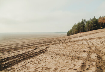 Bledow desert (pustynia bledowska) biggest sand desert in Silesia region in Poland © marcinm111