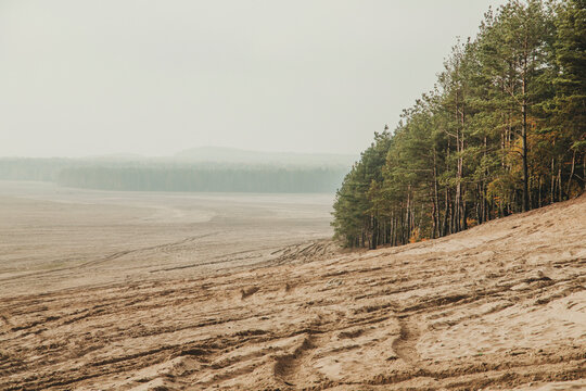 Bledow desert (pustynia bledowska) biggest sand desert in Silesia region in Poland