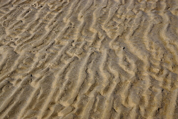 Rippel im Wattenmeer bei Ebbe. Der Sand wurde durch das fließende Wasser zu regelmäßigen Mustern geformt. 