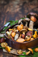 Fresh uncooked wild mushrooms on rustic wooden  background, copy space