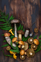 Fresh uncooked wild mushrooms on rustic wooden  background, copy space