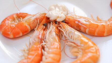 Langostinos cocidos servidos en plato blanco