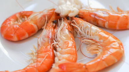 Langostinos cocidos servidos en plato blanco