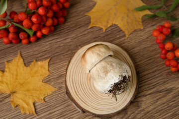 white mushroom and rowan berries on a wooden background