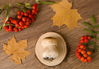 white mushroom on a wooden background