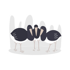 black stork chicks  vector flat illustration