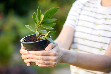 woman holding pot with plant