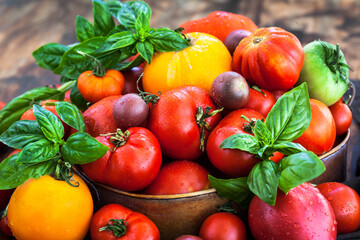 Fresh ripe red and yellow tomatoes on rustic background