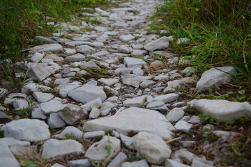A path nested with stones