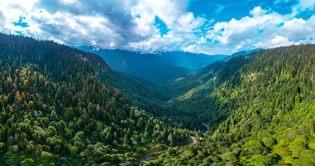 a large aerial panorama of a mountain gorge and trails below in the park of waterfalls among the mountains of the Caucasus overgrown with green forests