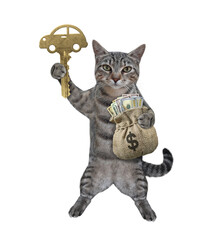 A gray cat holds a car key and a jute sack of dollars. White background. Isolated.