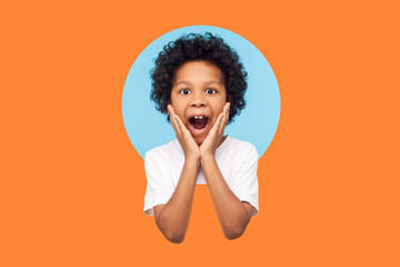 Oh my god, wow! Portrait of amazed boy looking at camera with shocked expression and keeping hands...