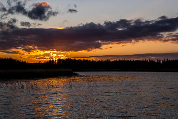Fototapeta na wymiar Evening over the lake. Dark blue sky. Night, forest, lake.