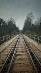 railway in the fog