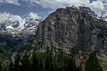Alps in summer morning. Gimmelwald, Lauterbrunnen, Murren Switzerland, Alps mountain landscape with flowers and cows
