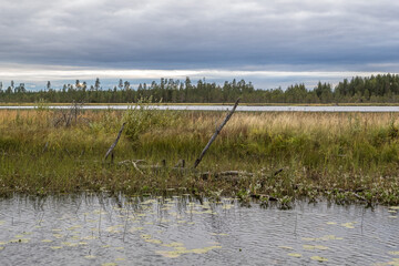 Northern nature. Panorama of the forest. Lake, forest, river. Beautiful landscape with lake and forest. Sunset and sunrise. Reflection of the forest in the water.
