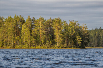 Northern nature. Panorama of the forest. Lake, forest, river. Beautiful landscape with lake and forest. Sunset and sunrise. Reflection of the forest in the water.