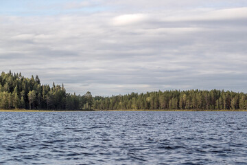 Northern nature. Panorama of the forest. Lake, forest, river. Beautiful landscape with lake and forest. Sunset and sunrise. Reflection of the forest in the water.