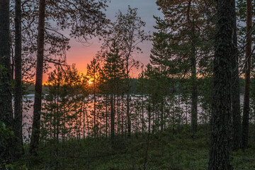 Northern nature. Panorama of the forest. Lake, forest, river. Beautiful landscape with lake and forest. Sunset and sunrise. Reflection of the forest in the water.