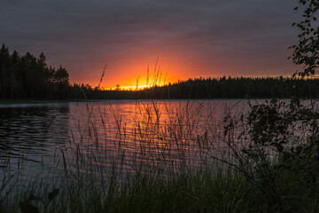Northern nature. Panorama of the forest. Lake, forest, river. Beautiful landscape with lake and forest. Sunset and sunrise. Reflection of the forest in the water.